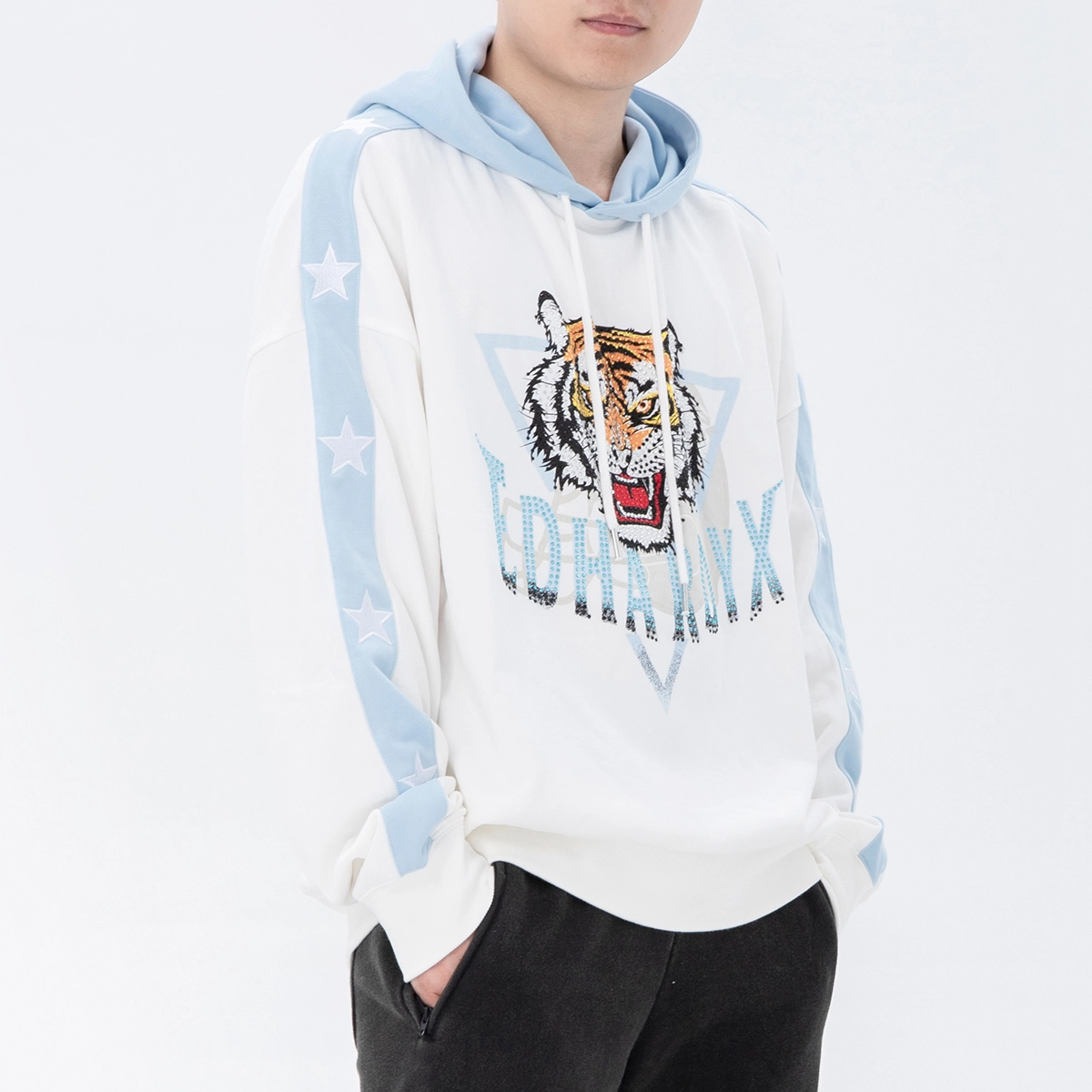 ED HARDY X Logo