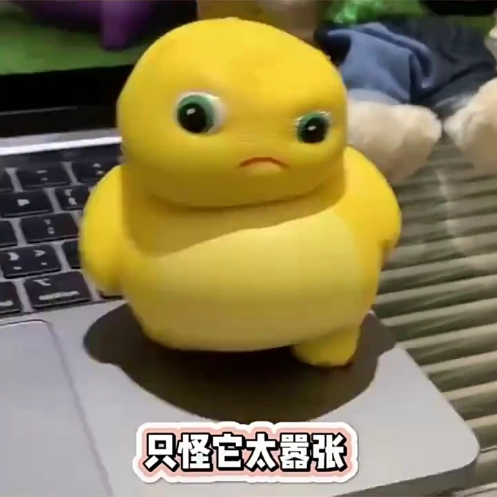 IP