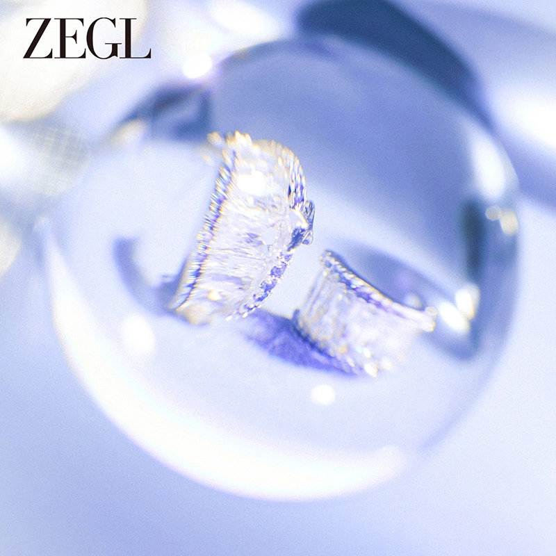 ZEGL 925