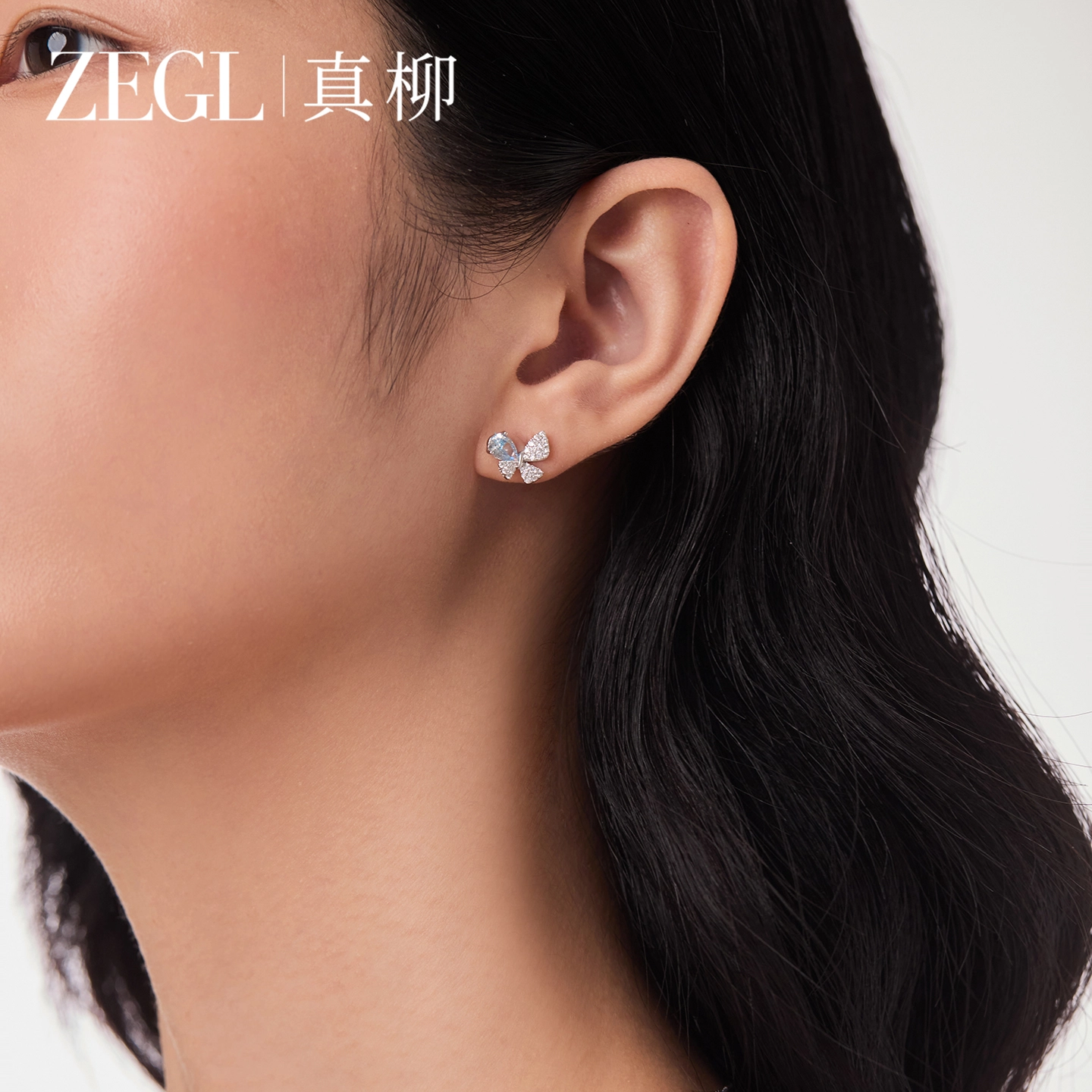 ZEGL S925