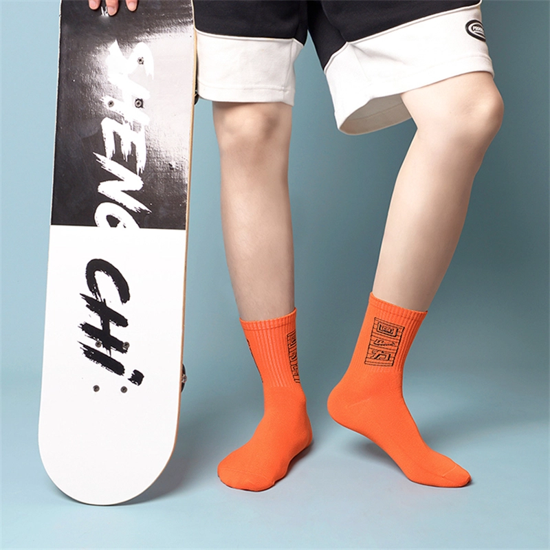 Warrior 6