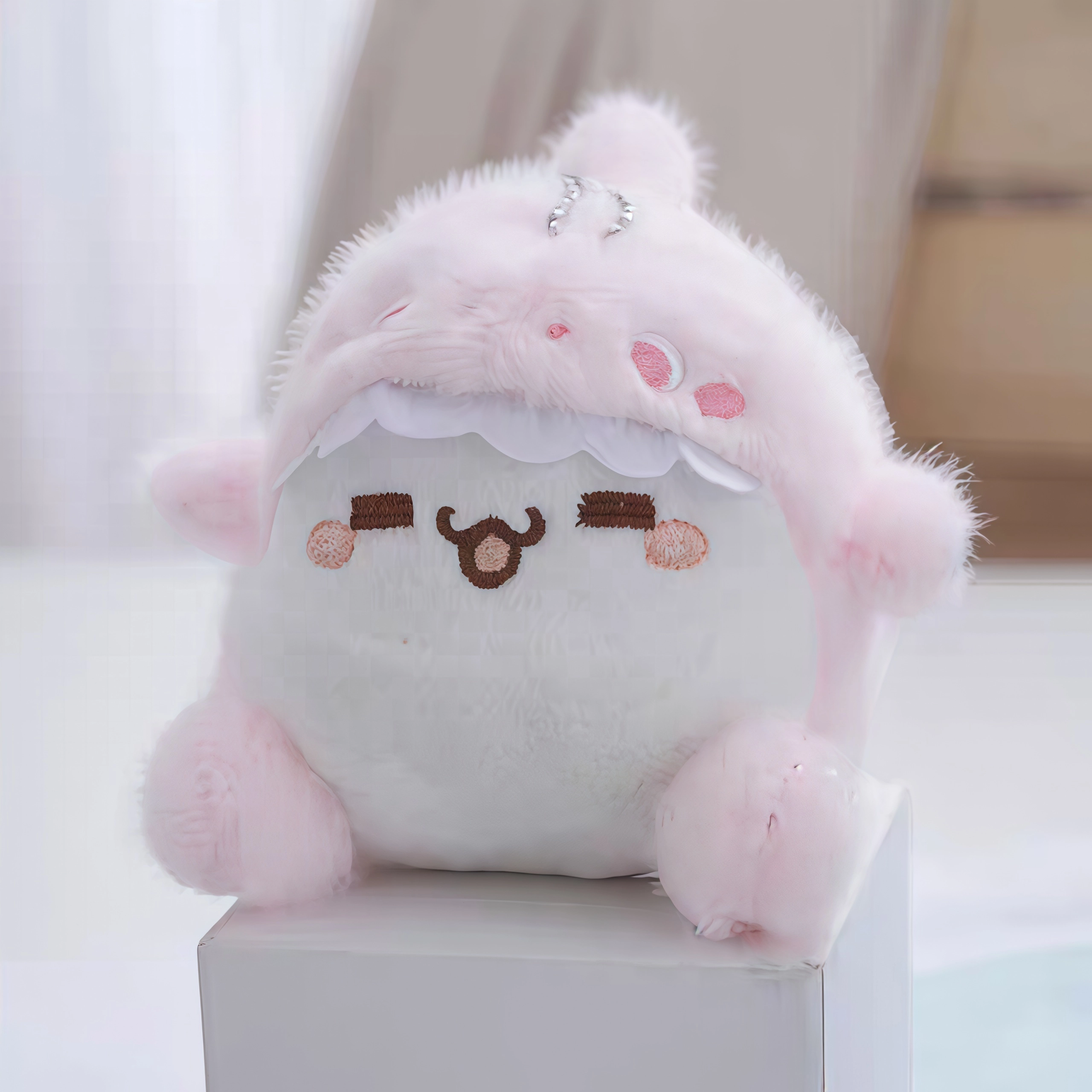 12cm