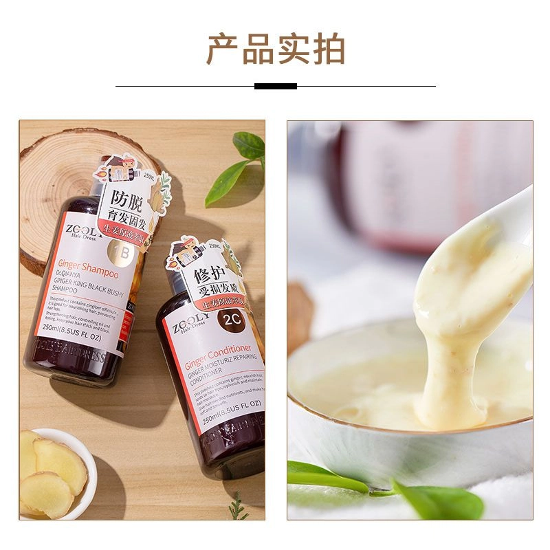 卓蓝雅   生姜洗发水洗护套装  控油蓬松