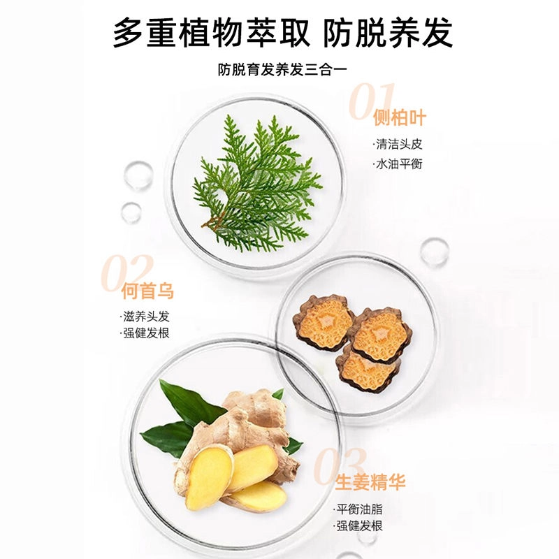 卓蓝雅   生姜洗发水洗护套装  控油蓬松