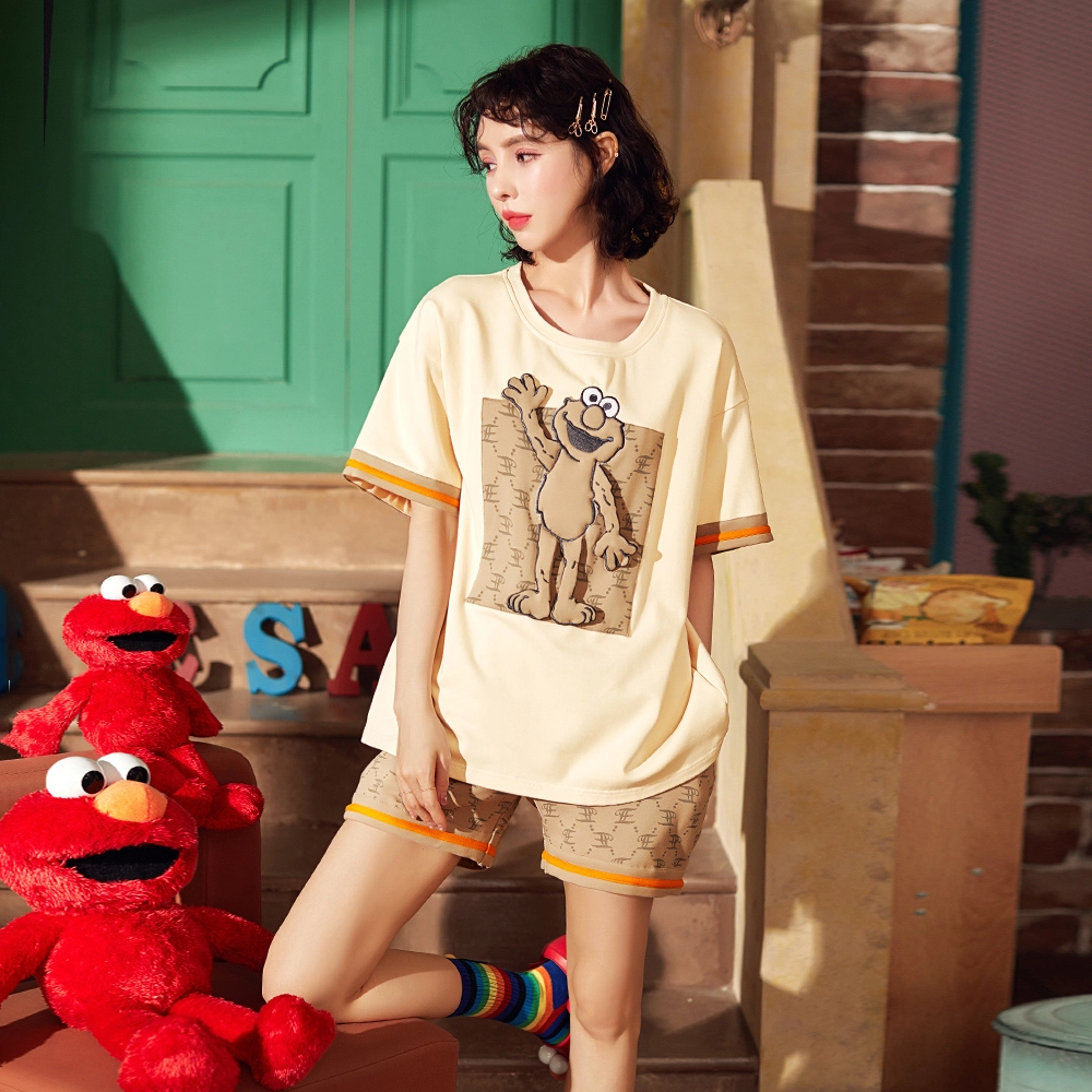 x Sesame stree