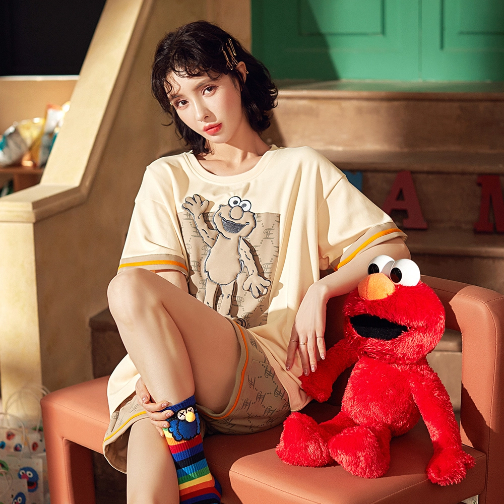 x Sesame stree