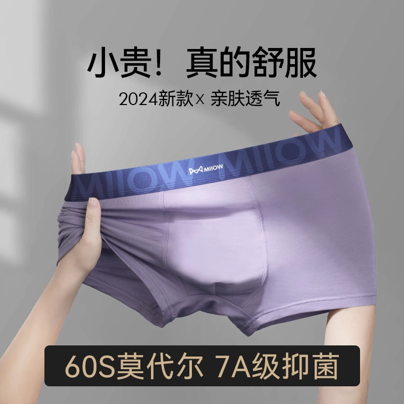 MIIOW 607Alogo 3