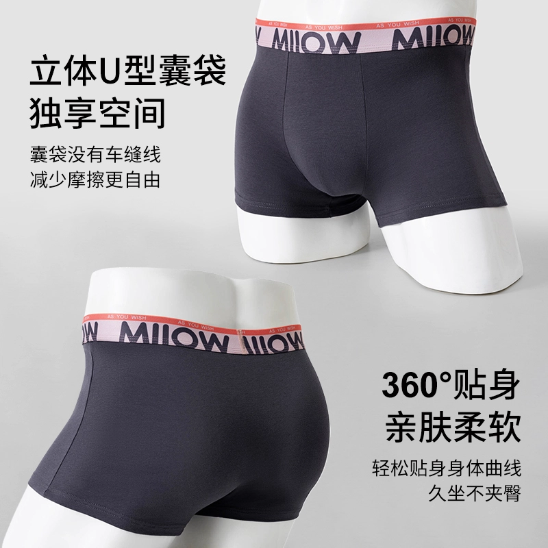 MIIOW 10Alogo 3