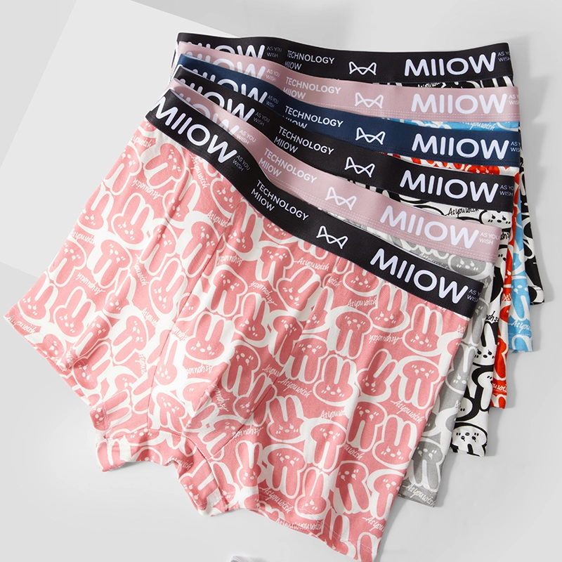 MIIOW 5A 3