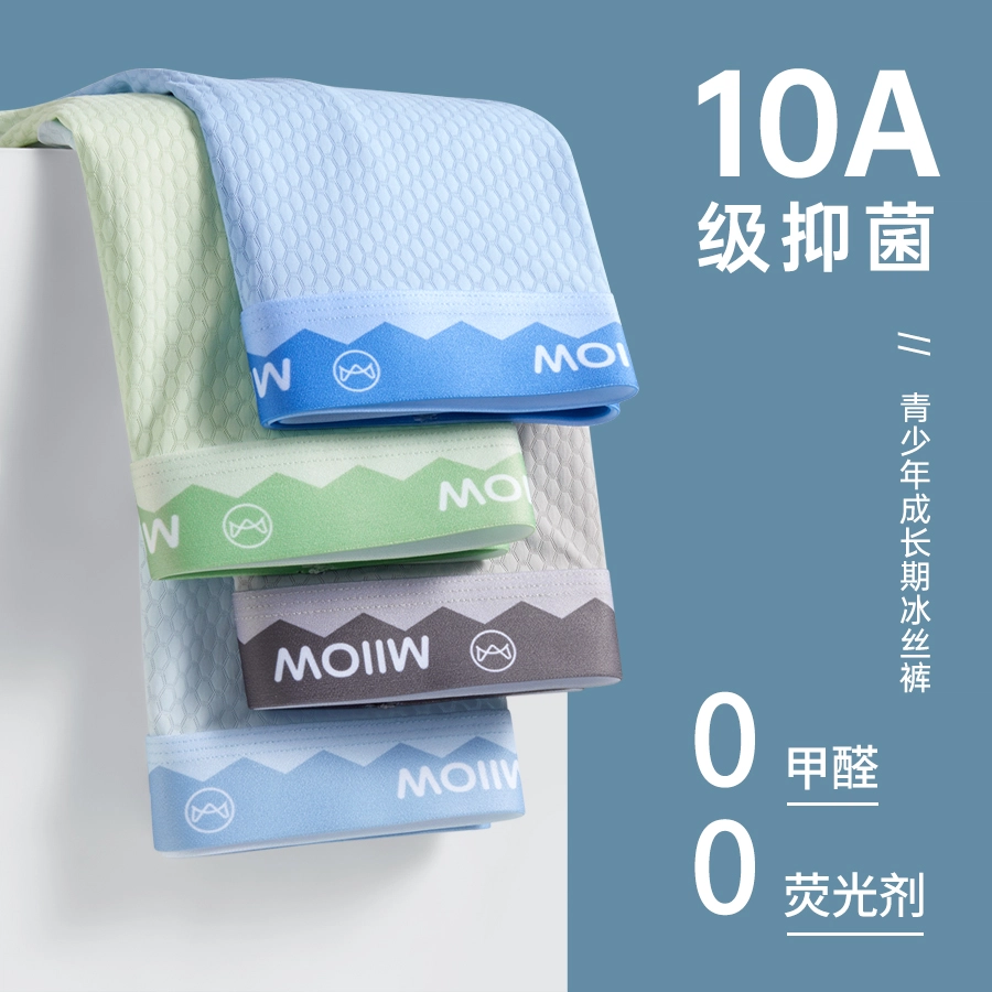 MIIOW 10A 3