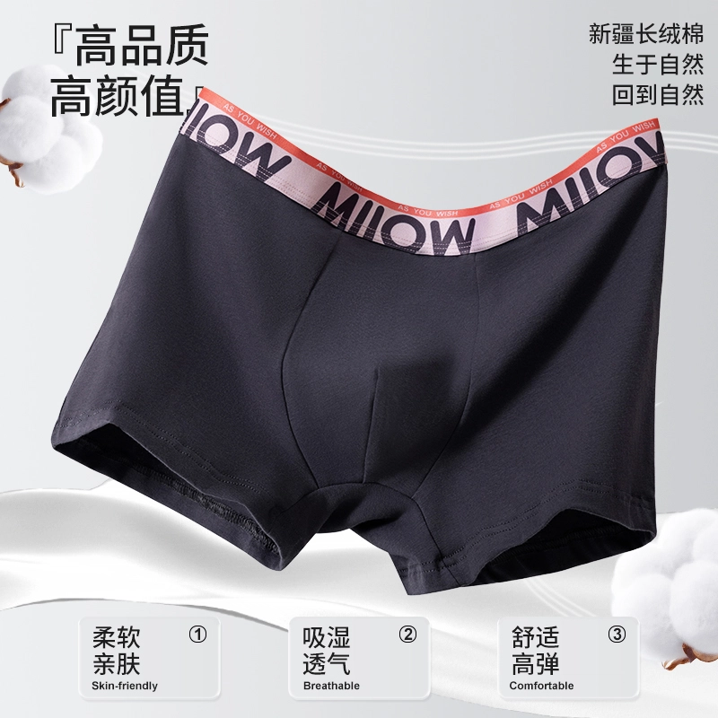 MIIOW 10Alogo 3