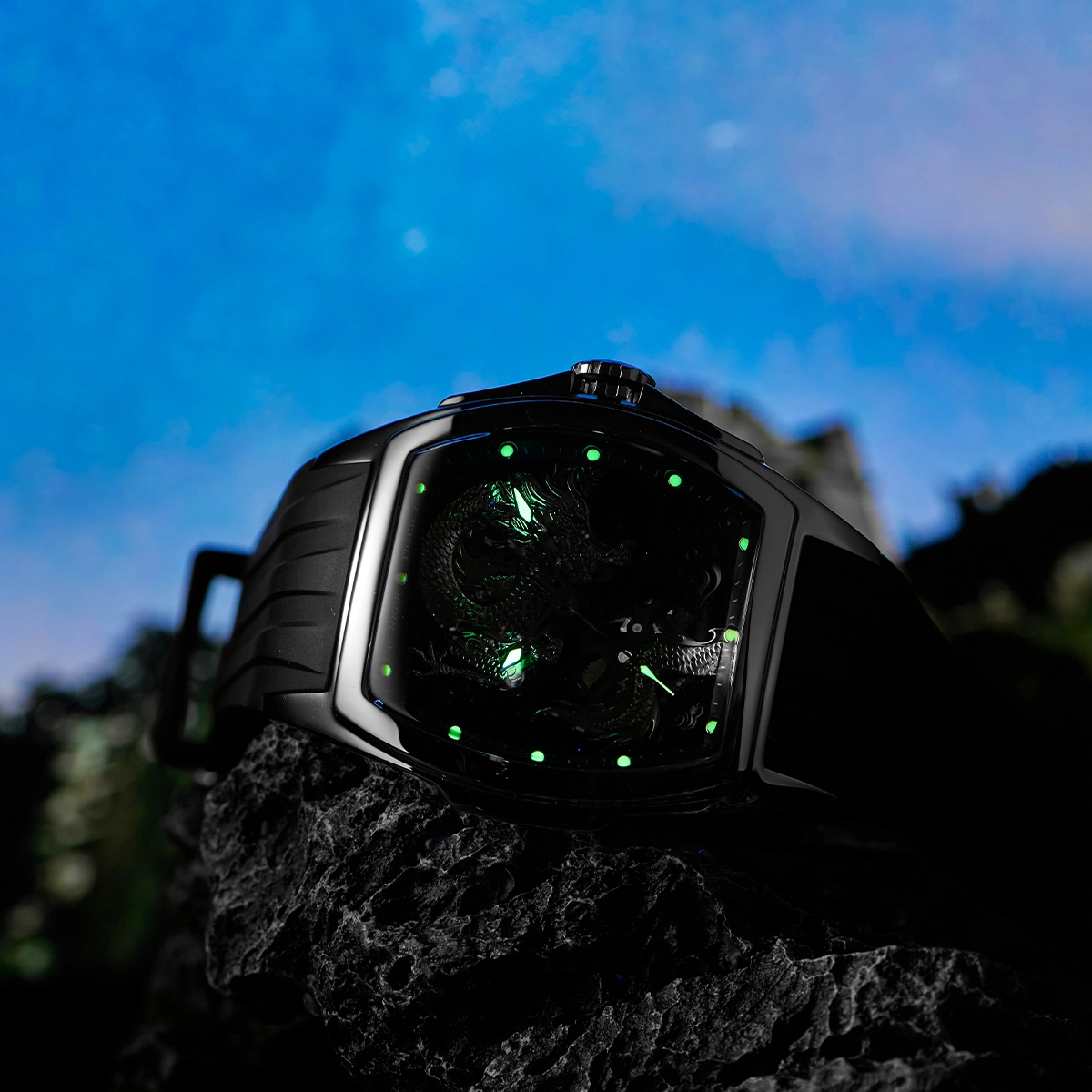 REEF TIGER RGA3061