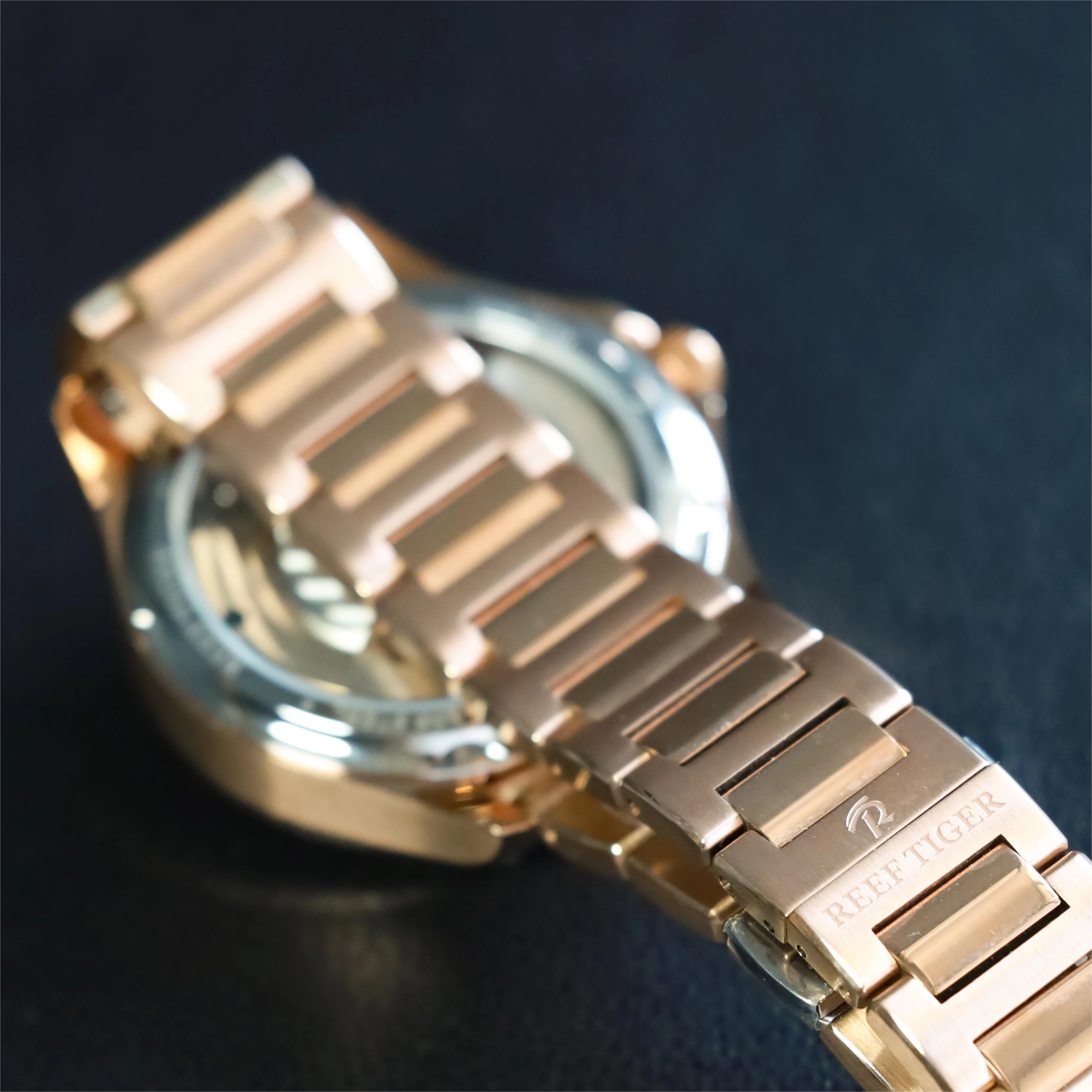 REEF TIGER RGA1683