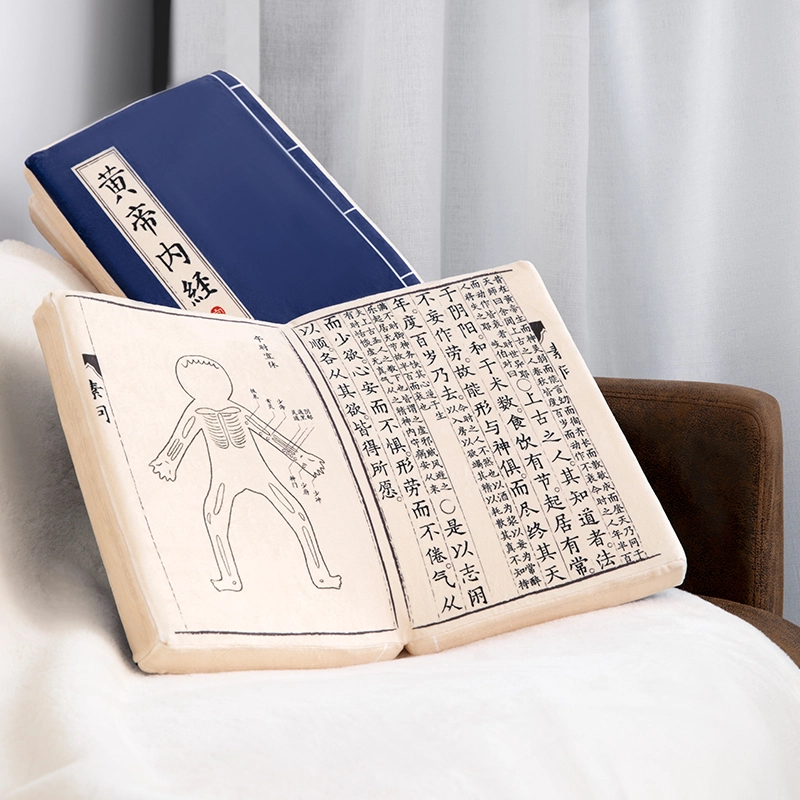 宫廷宝贝 故宫文创 黄帝内经沙发睡觉抱枕 玩偶 毛绒公仔