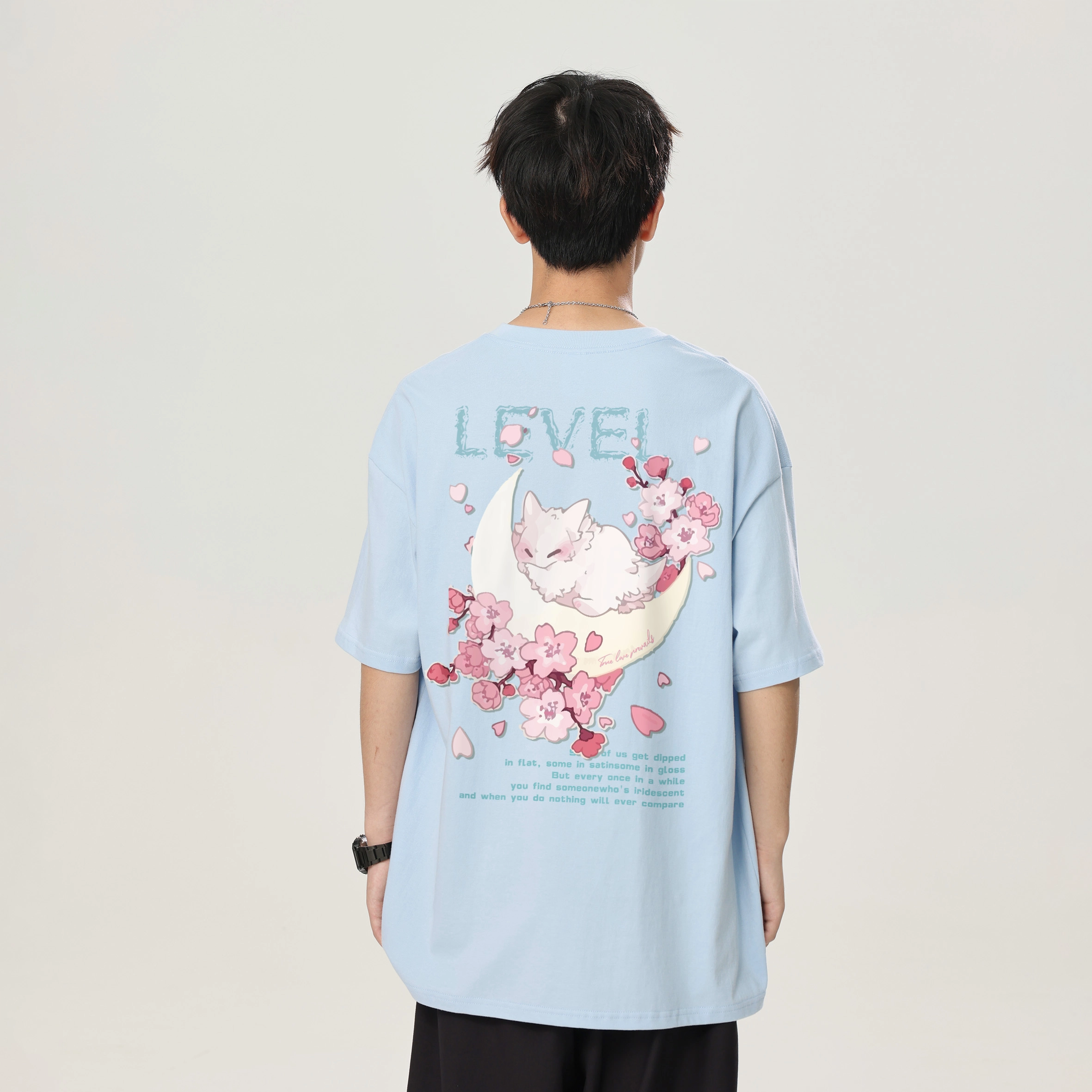 LEVEL T
