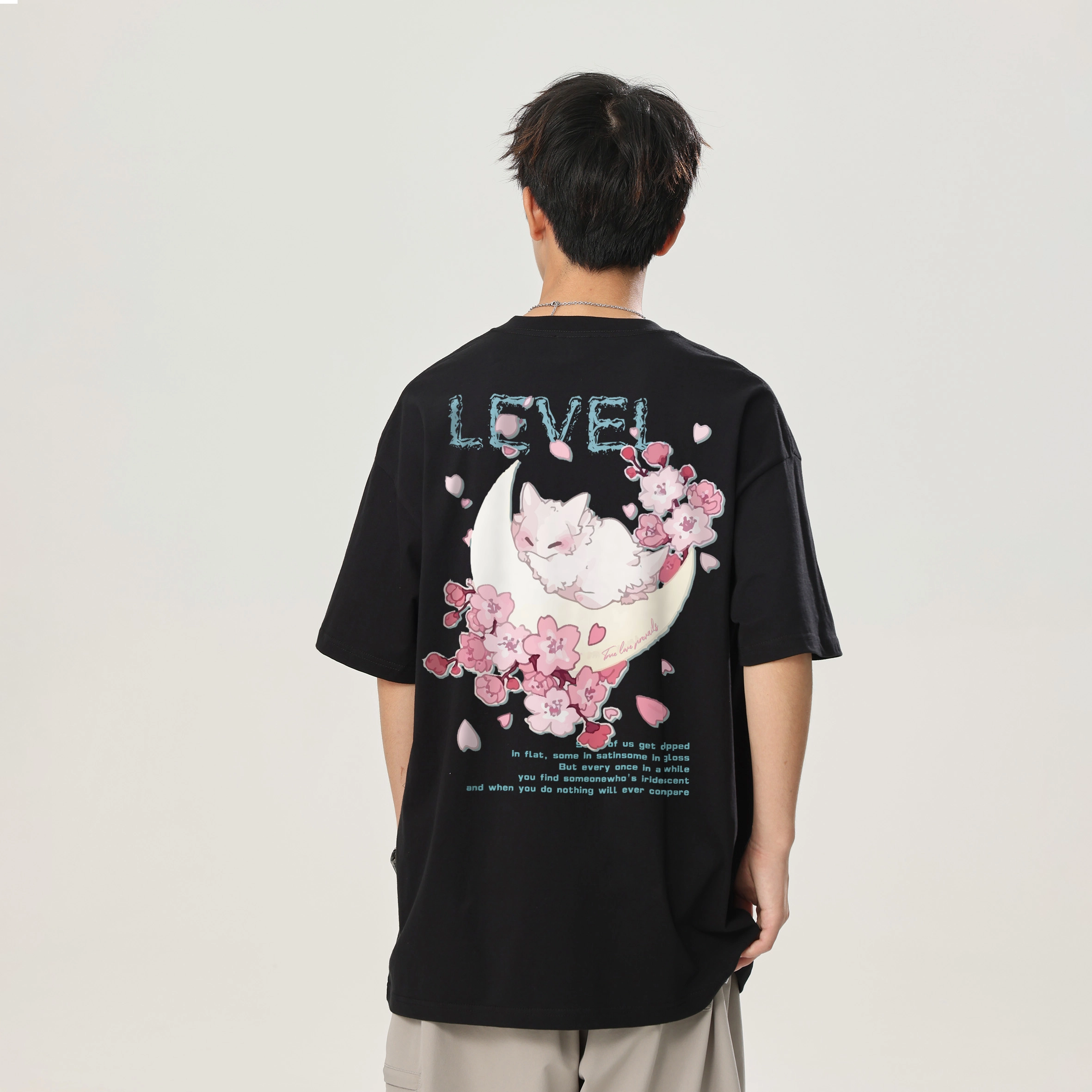 LEVEL T