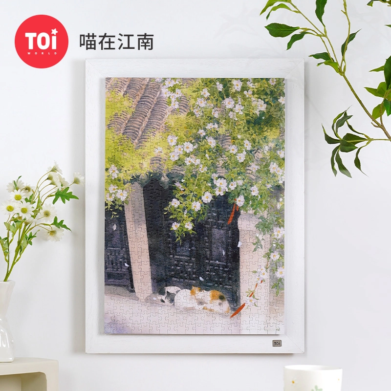 TOI 500pcs 23505
