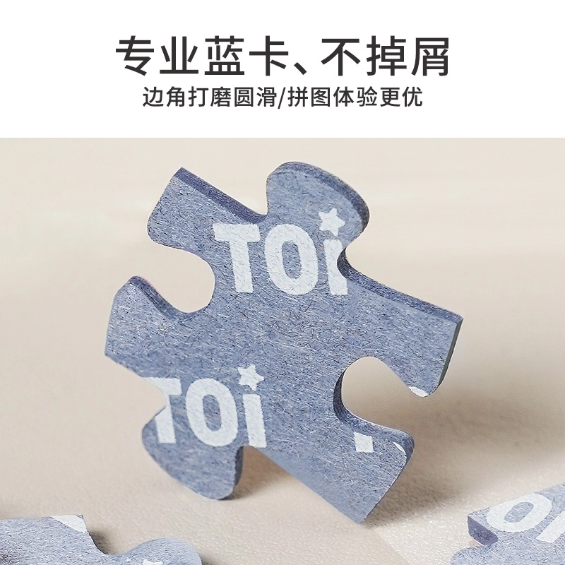 TOI 300pcs 23571