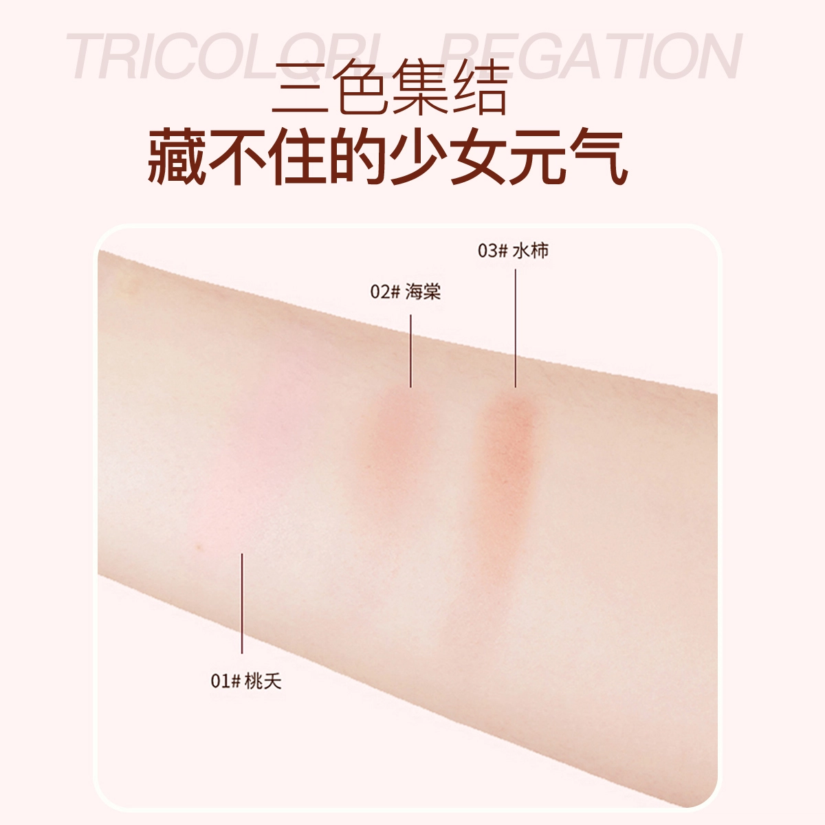 孔凤春 青春真谛云柔雾感 腮红 遮瑕