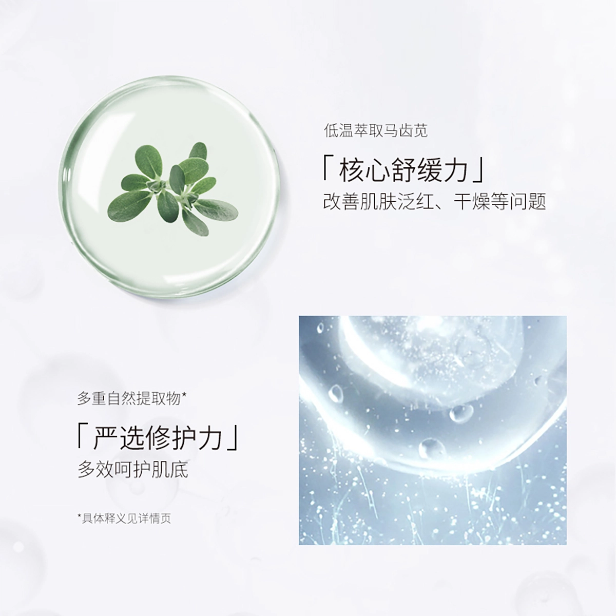 孔凤春 马齿苋爽肤水喷雾补水保湿小分子精华+神经酰胺保湿修护霜护肤套装 保湿修护淡化细纹滋润舒缓补水