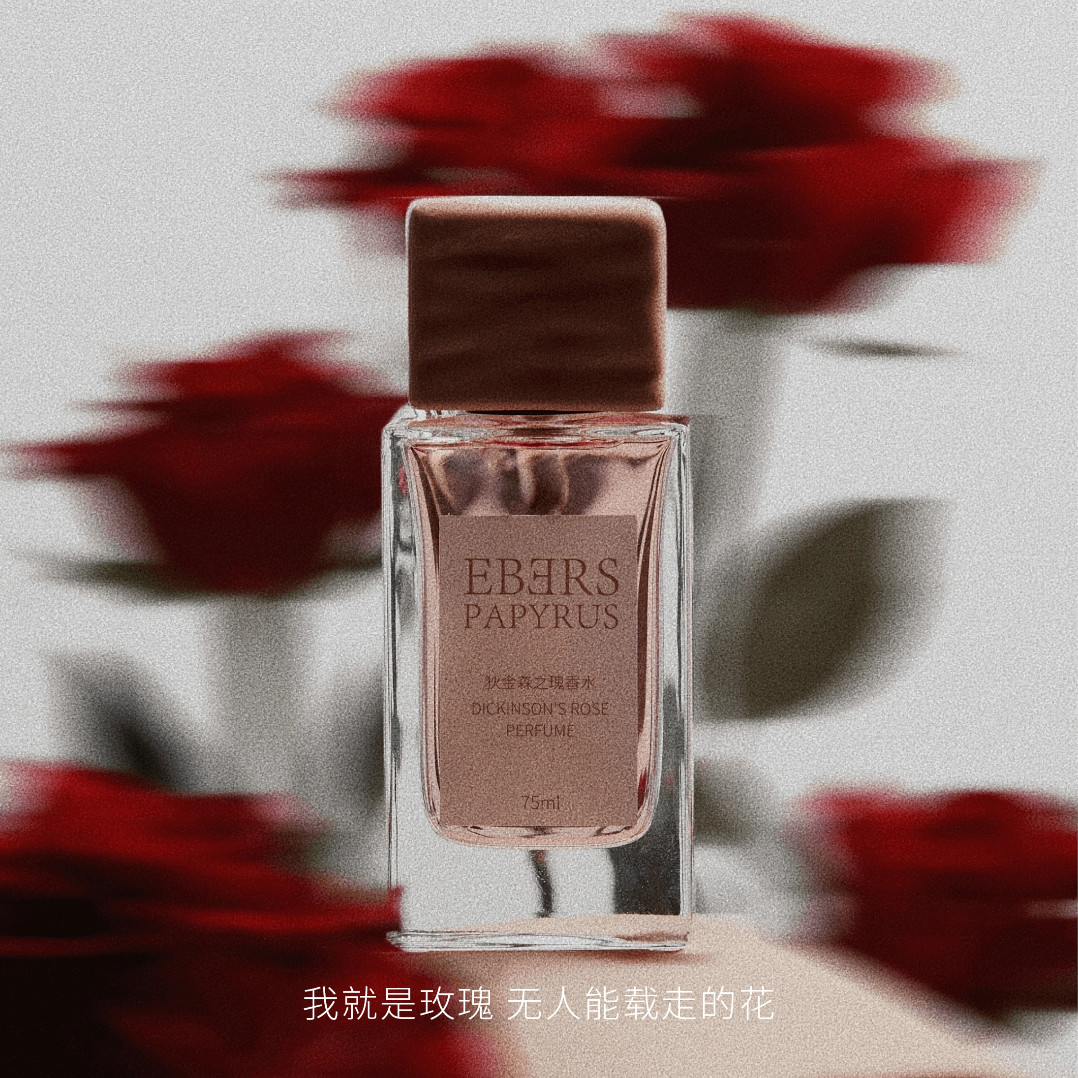 EBERS PAPYRUS EDP 75ml