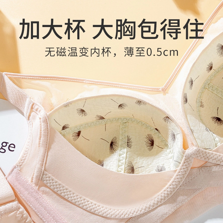 花蔓色 大胸显小调整型收副乳防下垂聚拢文胸 女款