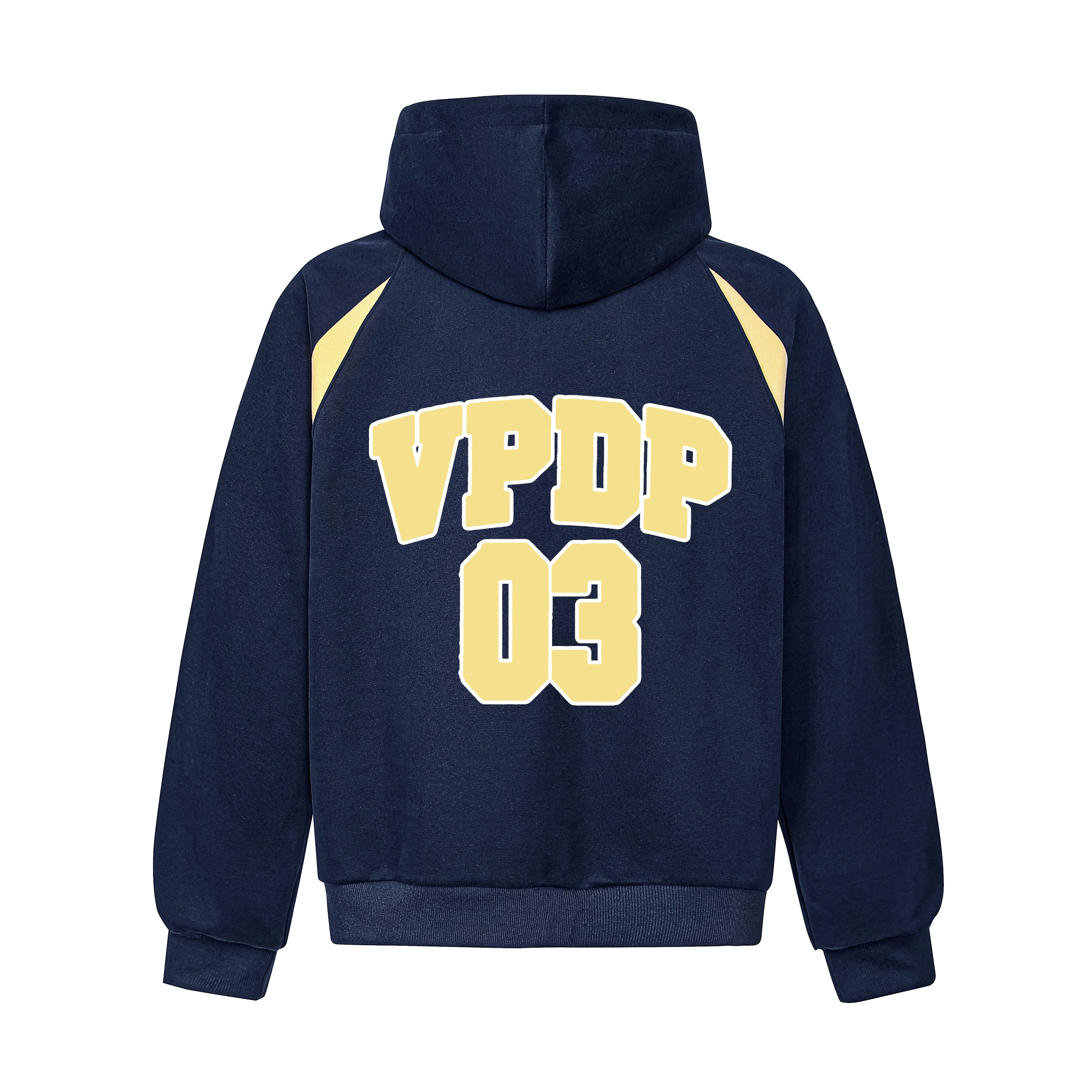VPDP logo