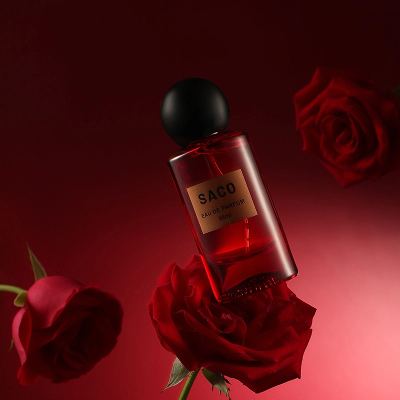 SACO EDP