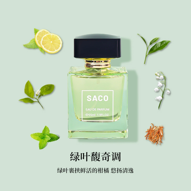 SACO EDP