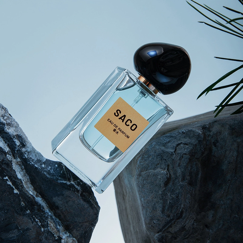 SACO EDP
