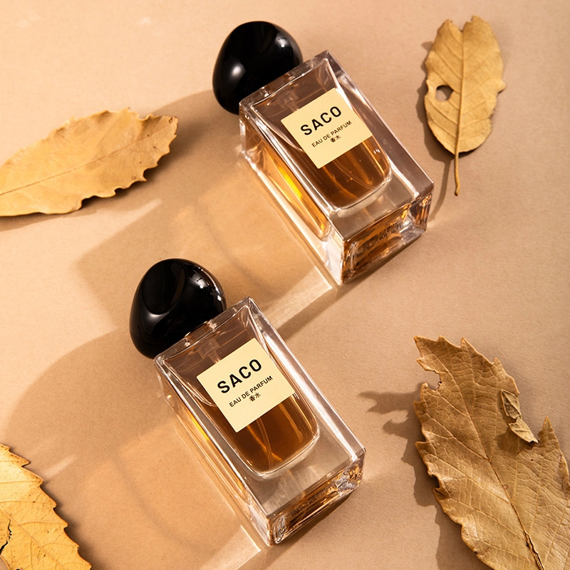 SACO EDP