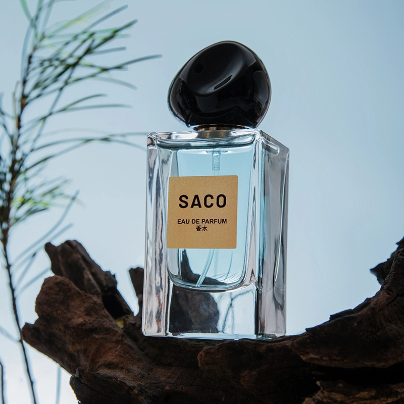 SACO EDP