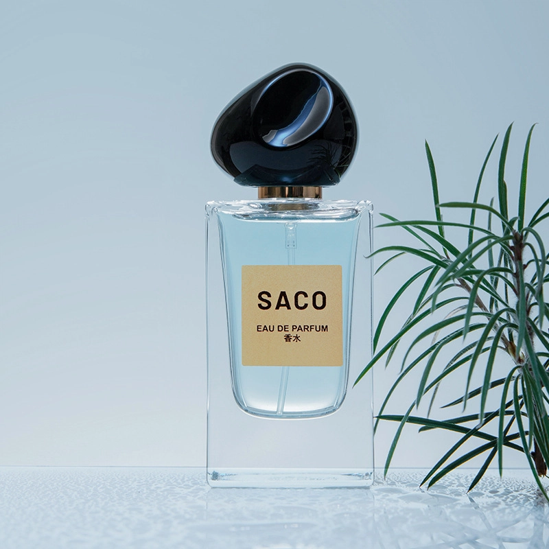 SACO EDP