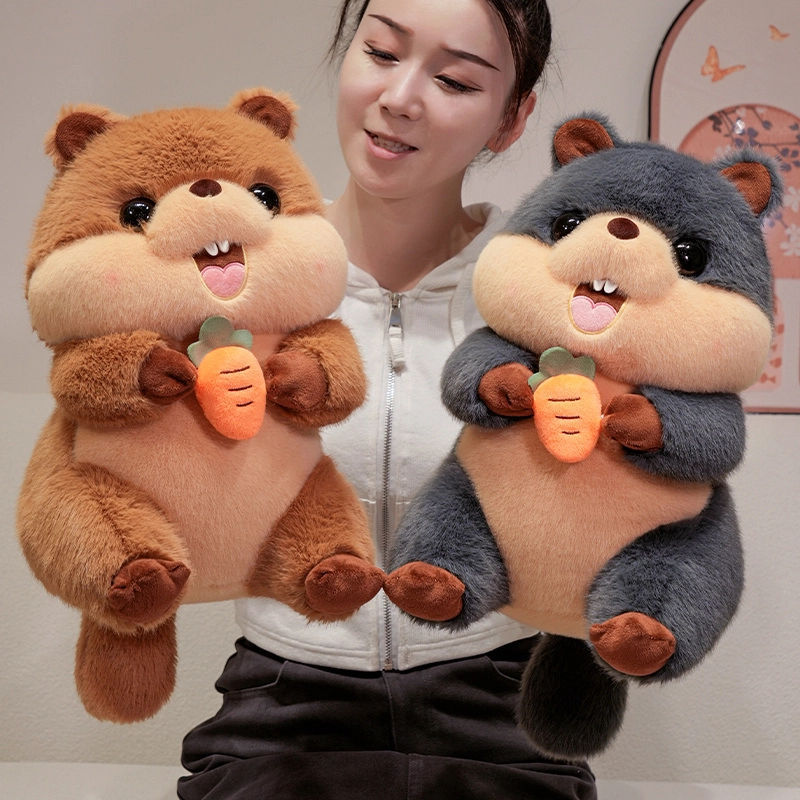 25cm40cm