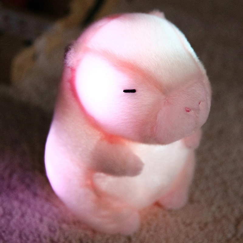 25cm