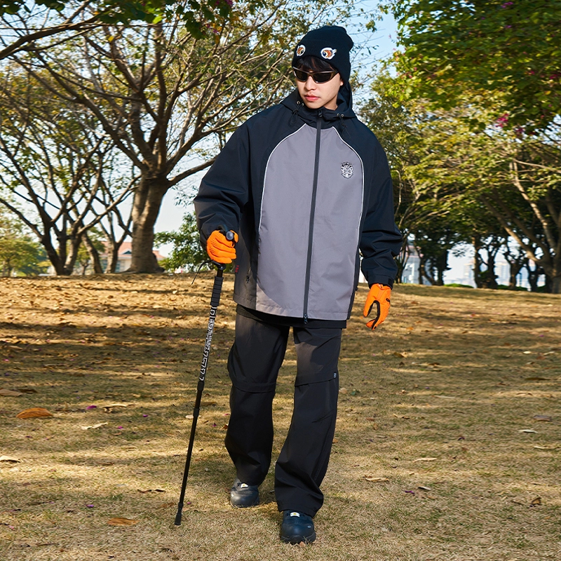 HEA