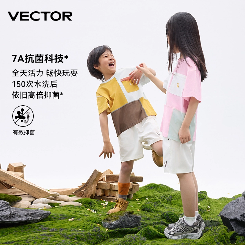 VECTORT