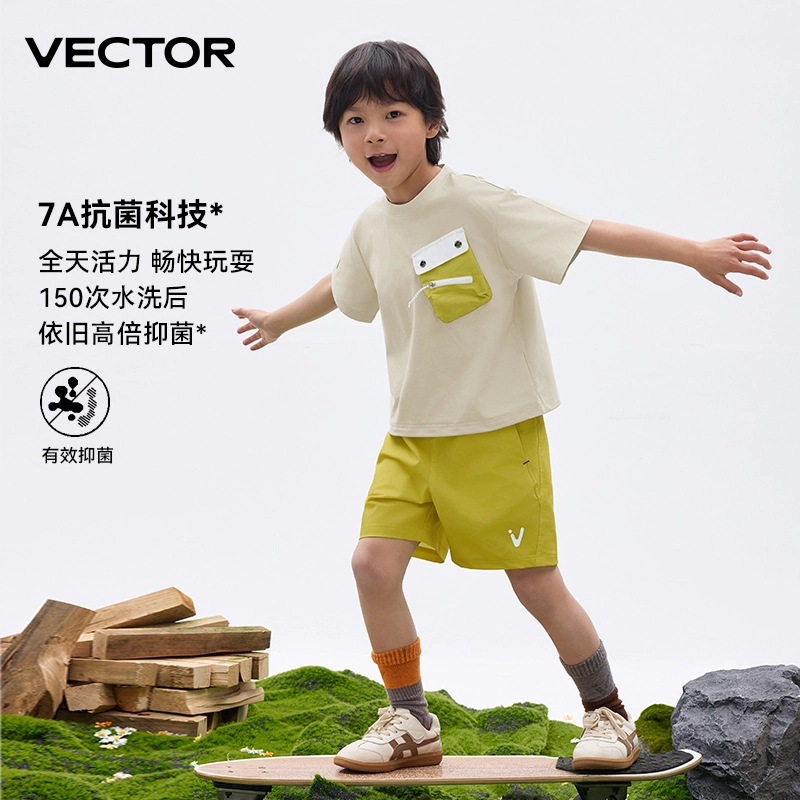 VECTORT