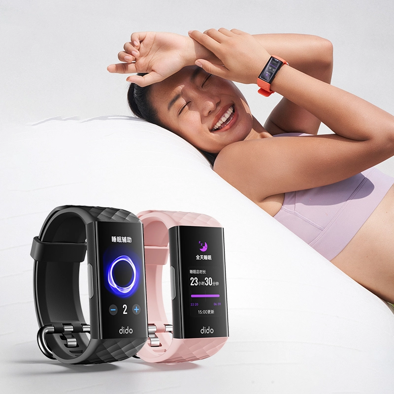 dido P1S -
