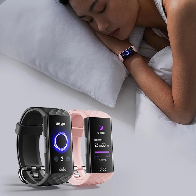 dido P1S -