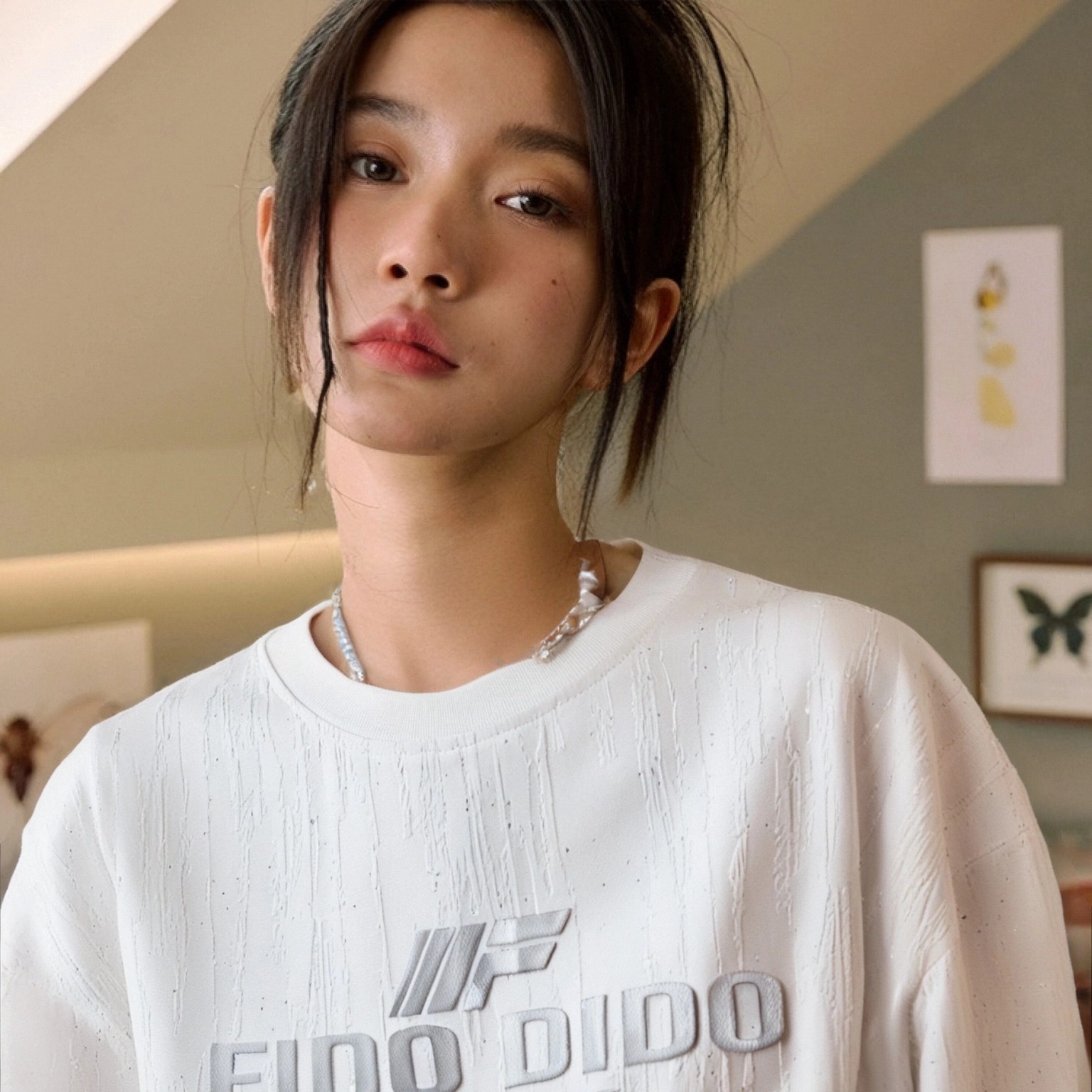 FIDO DIDO T
