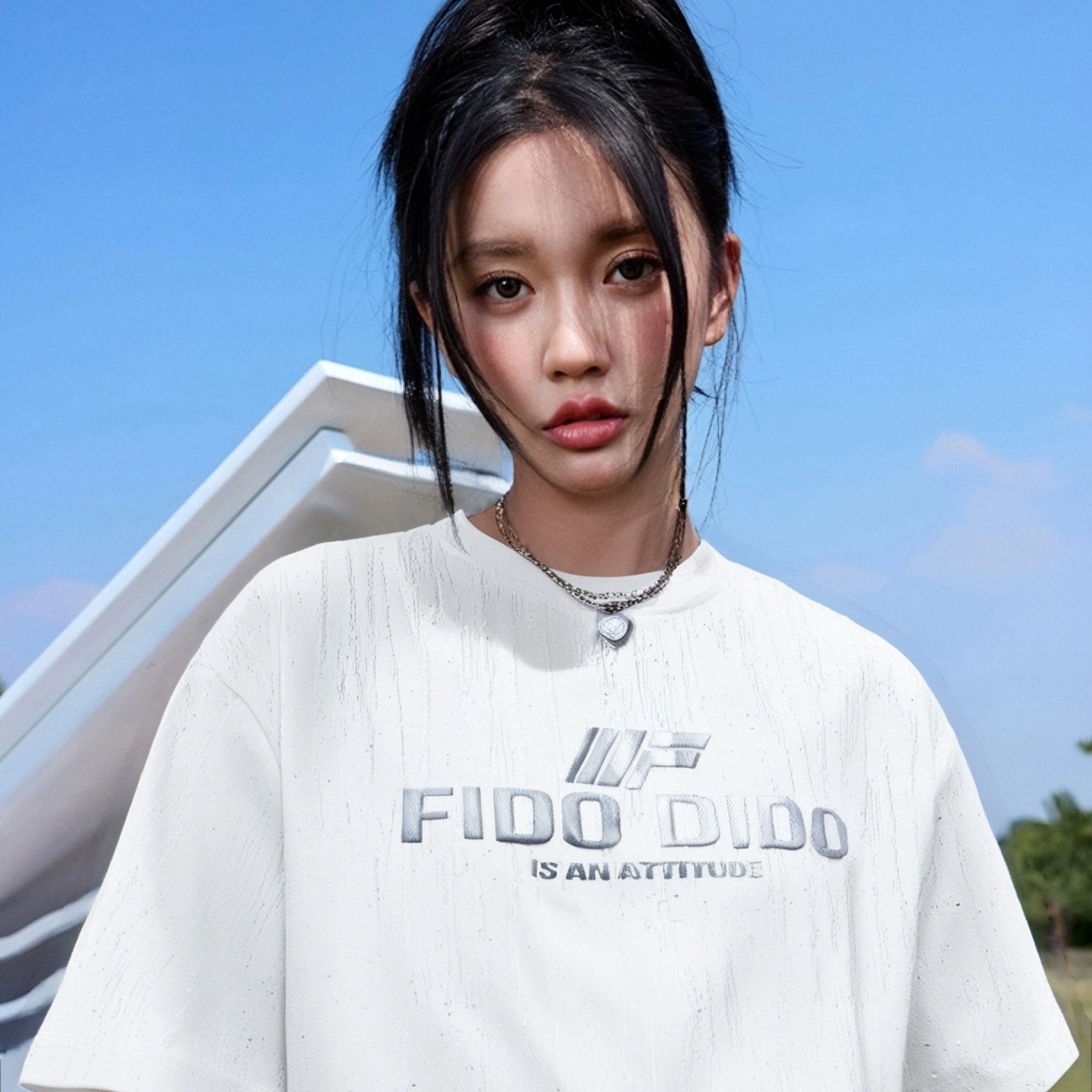 FIDO DIDO T