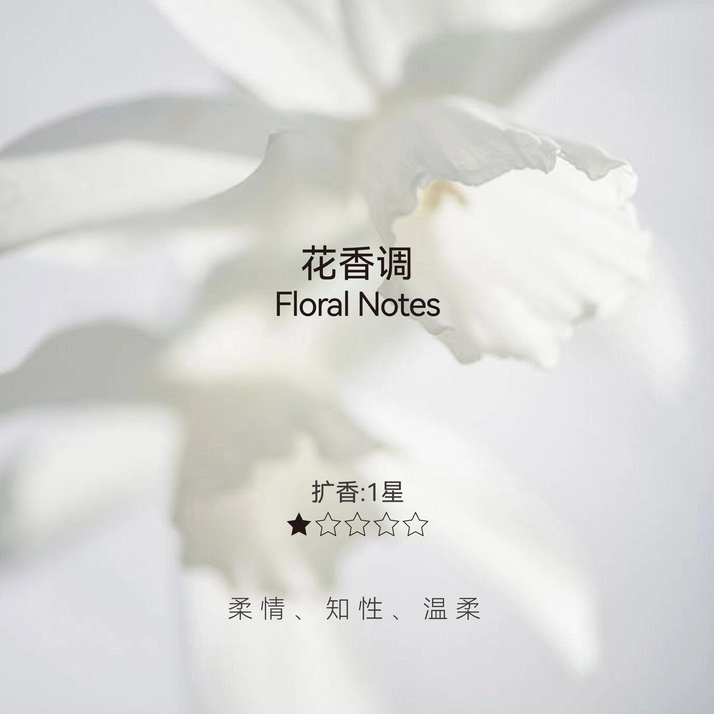 019 EDP 30ml