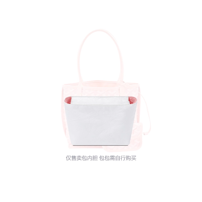 FANJI Goyard Anjou Mini 20