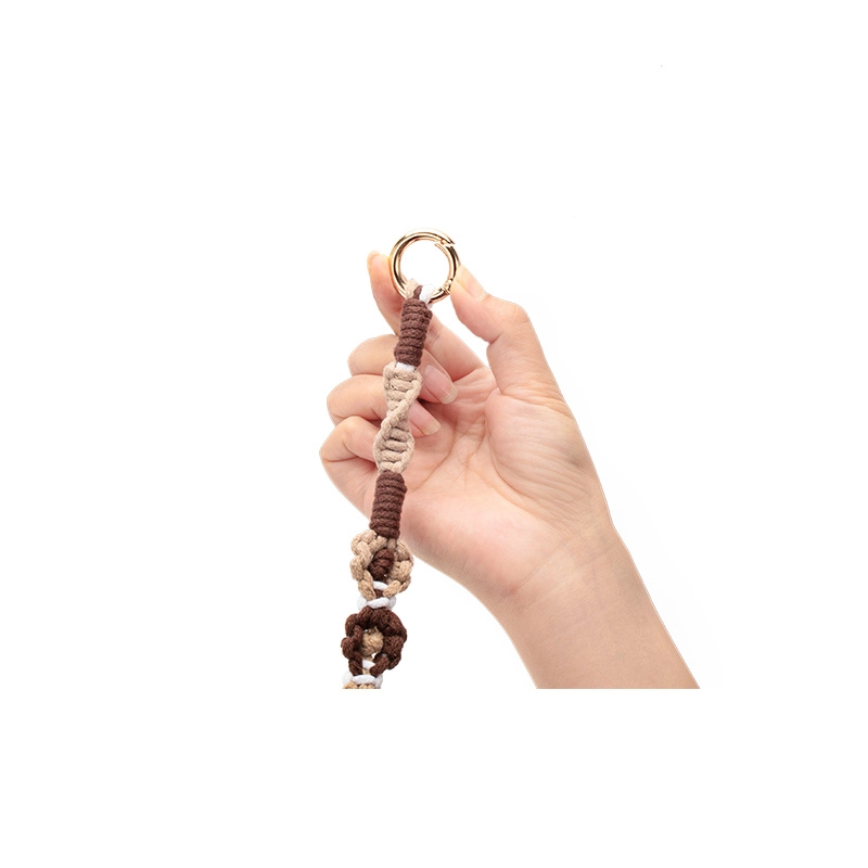 FANJI longchampmini