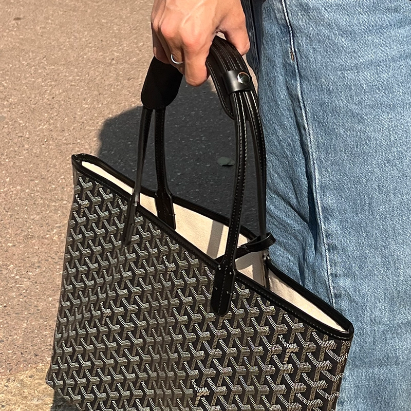 FANJI Goyard