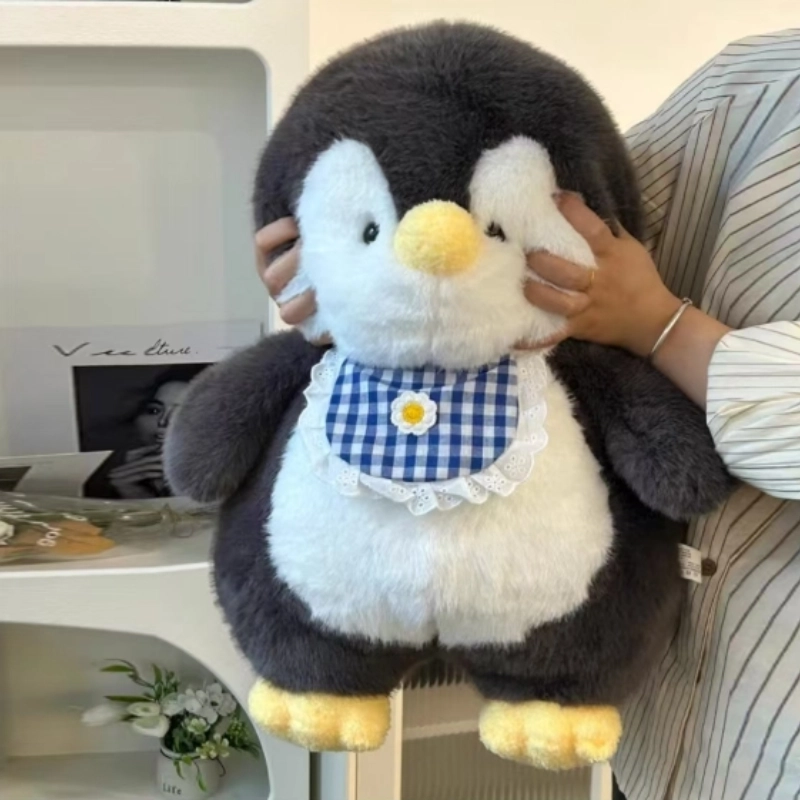 30cm50cm