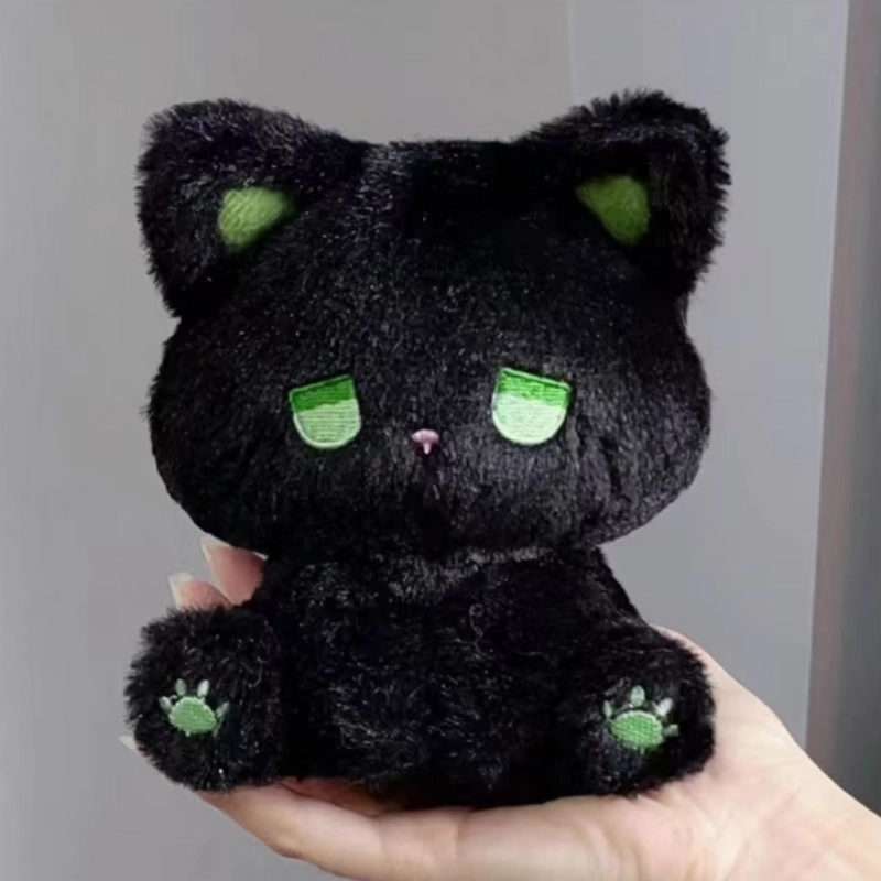 15.5cm22cm