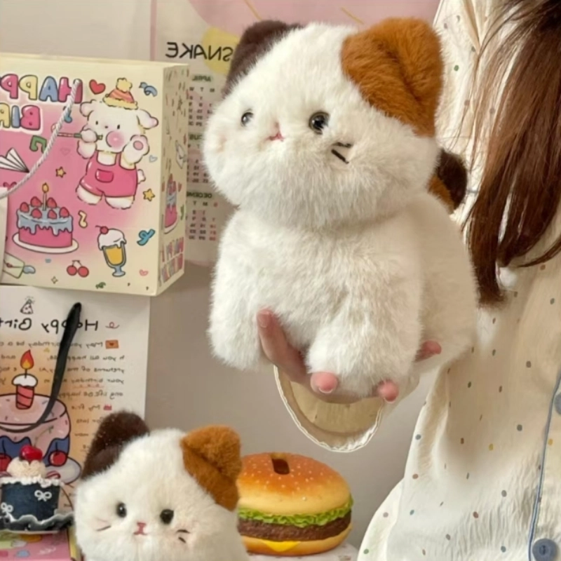 25cm35cm45cm