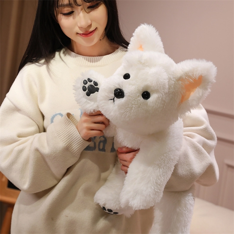 30cm45cm65cm
